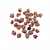 Hydroton Expanded Clay ball Lightweight Aggregate (50 Ltr Bag)