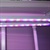 LED Grow Light